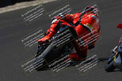 media/Sep-07-2025-CRA (Sun) [[6d6582c22b]]/Race 8/